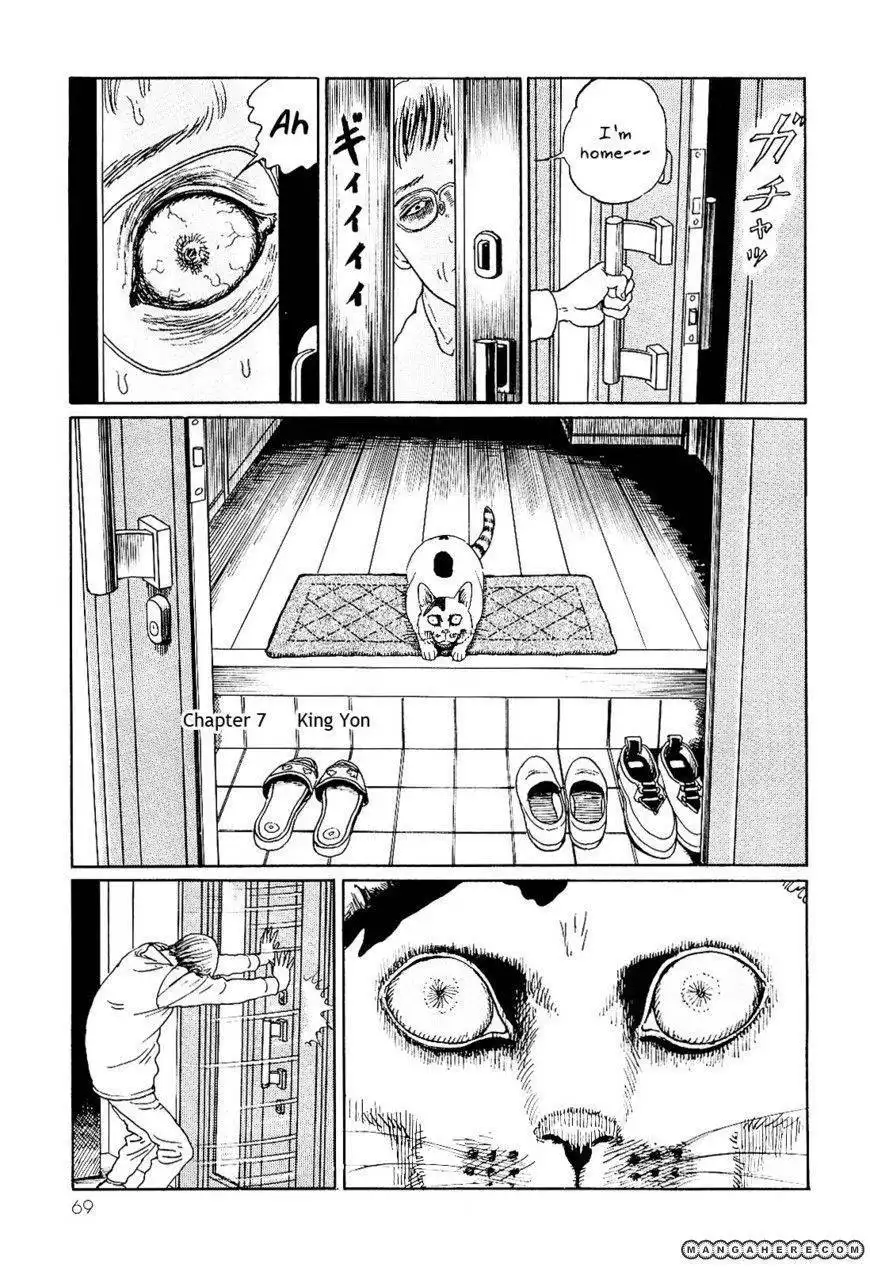 Ito Junji's Cat Diary Chapter 7 1